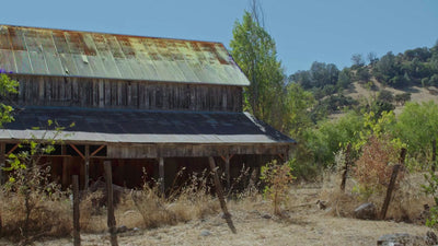 Kathleen Dunphy: Basic Edition - Essential Plein Air Exercises