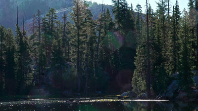 Kathleen Dunphy: Basic Edition - Essential Plein Air Exercises