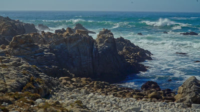 Kathleen Dunphy: Ultimate Collection - Plein Air to Studio