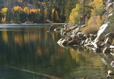 Kathleen Dunphy: Premium Edition - Landscape Painting in the Studio