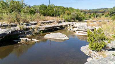 Charlie Easton: Mastering Acrylic Landscapes