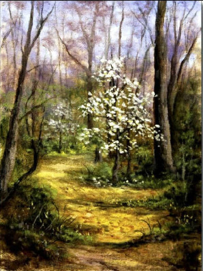 Bill Bayer: Dogwood Walk