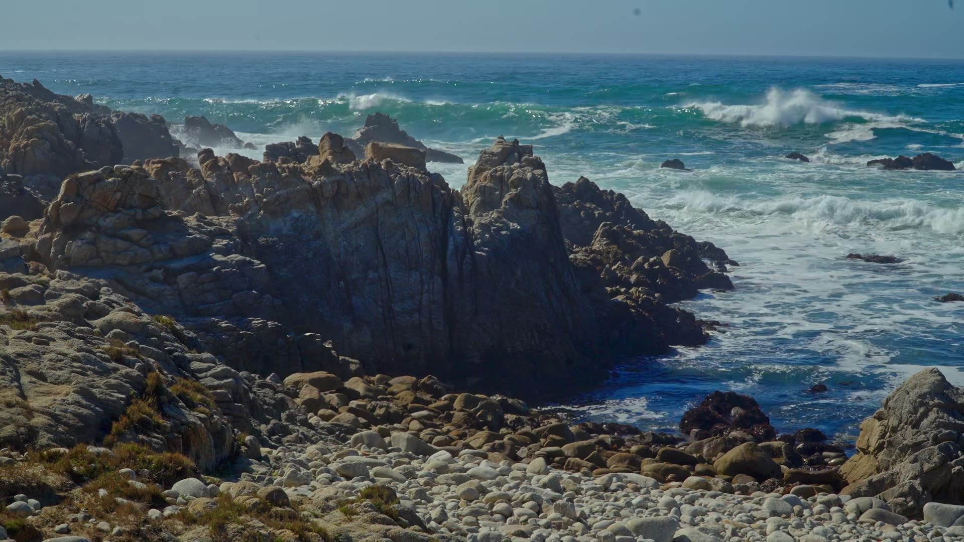 Kathleen Dunphy: Ultimate Collection - Plein Air to Studio