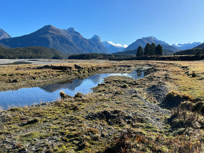 Scott Hamill: PAINT MOUNTAINS WITH ENERGY - A New Zealand Landscape in Oil