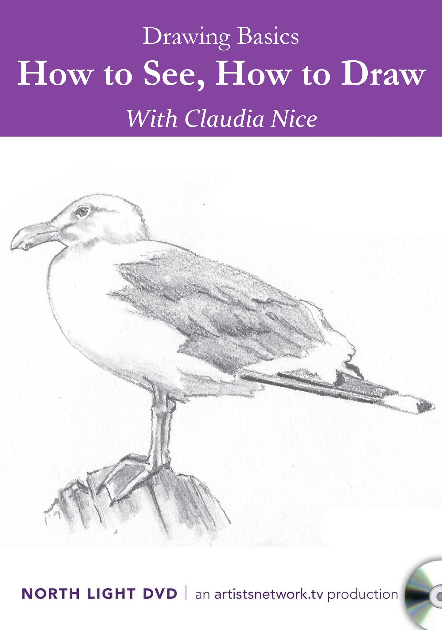 Claudia Nice: Drawing Basics - How to See, How to Draw