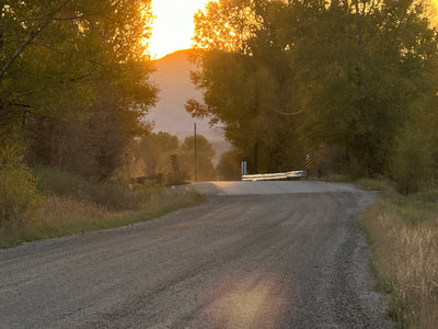 Suzie Baker: Light Infused Landscapes