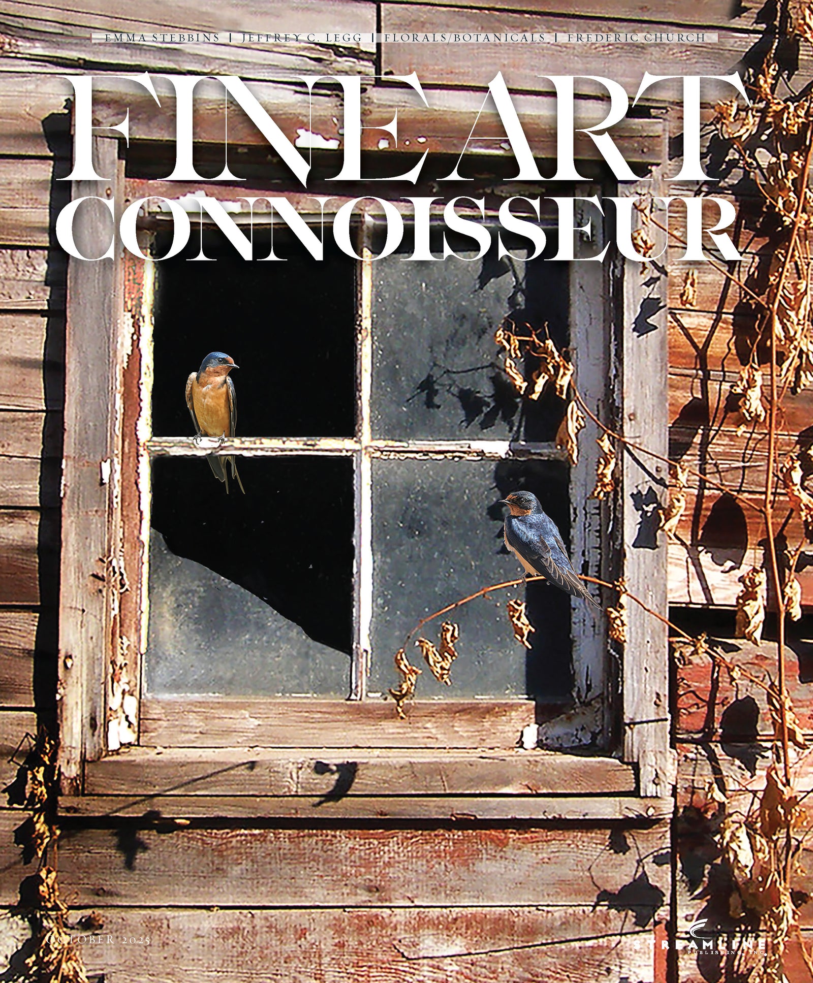 Fine Art Connoisseur Magazine - Single Issue