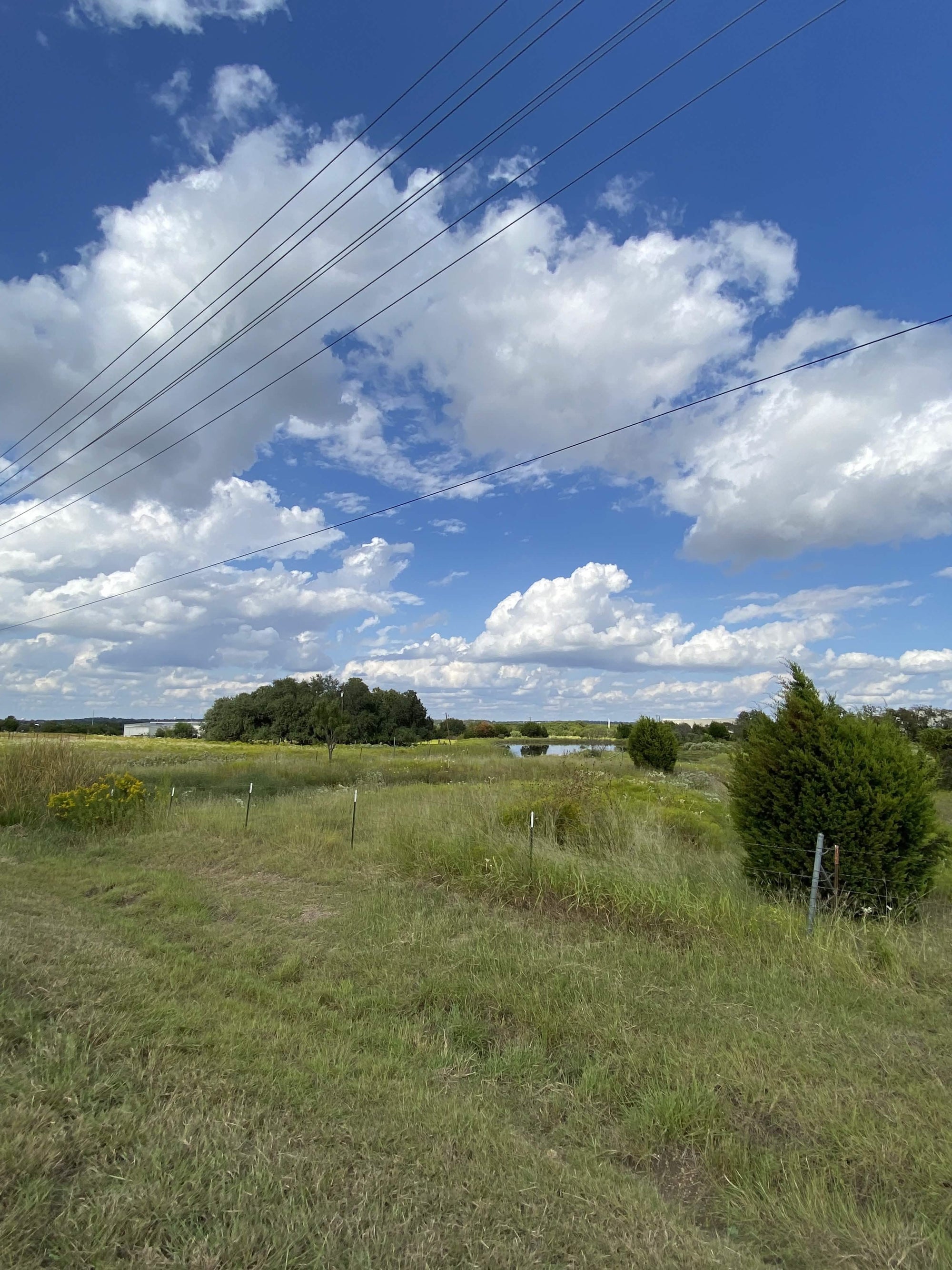 Carla Bosch: Bold Acrylic Landscapes