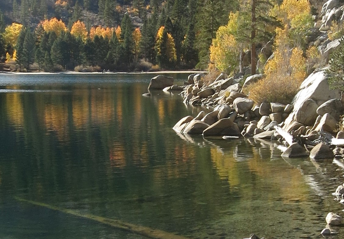 Kathleen Dunphy: Premium Edition - Landscape Painting in the Studio