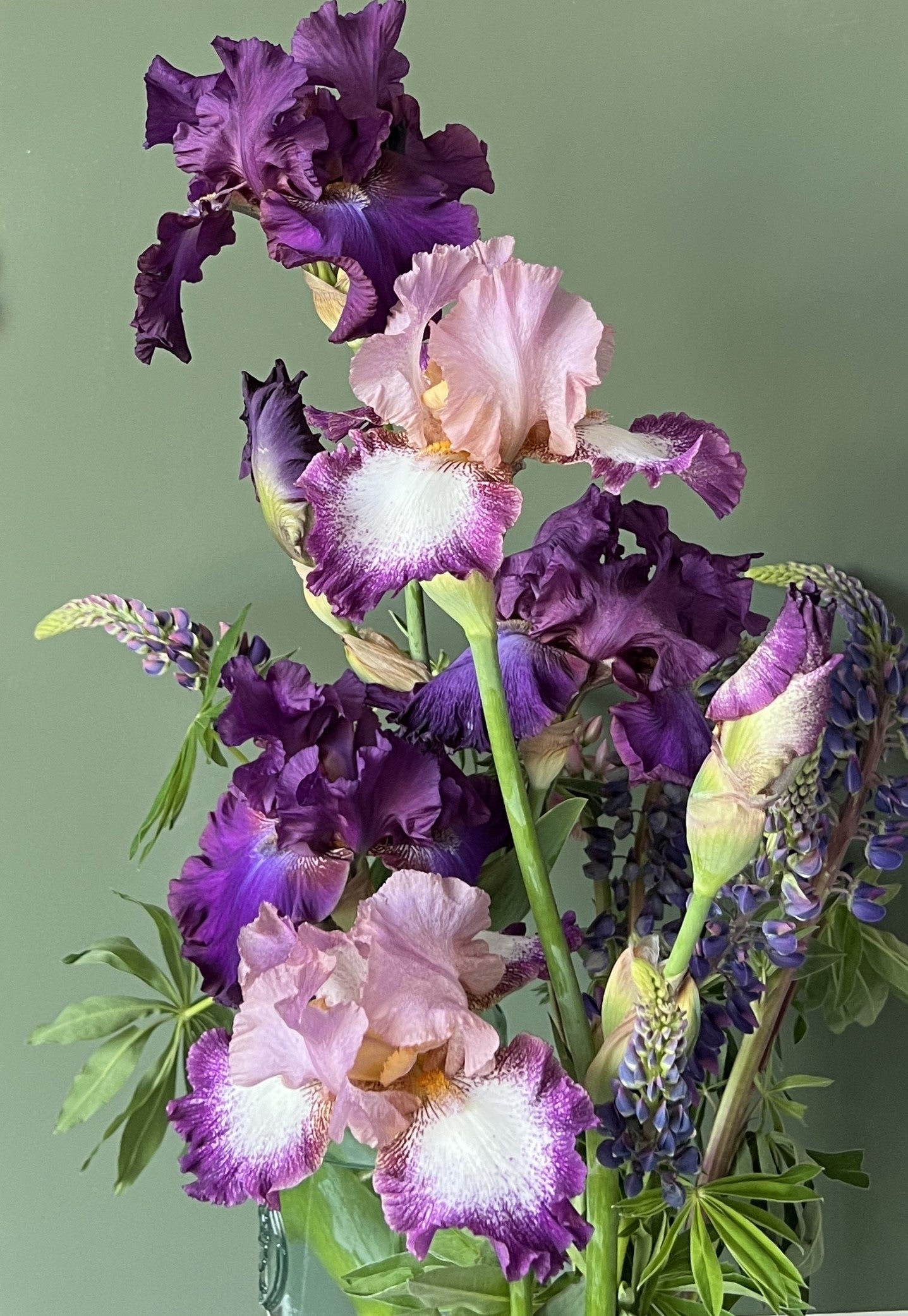 Vera Kavura: Painting the Flowers of Ukraine